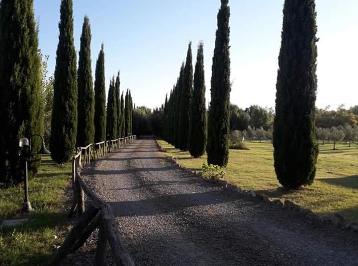 Casa rural Lupo Cerrino