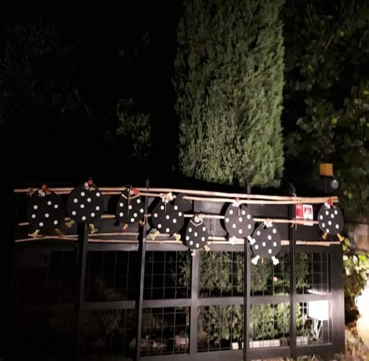Lupo Cerrino Casa rural Tarquinia