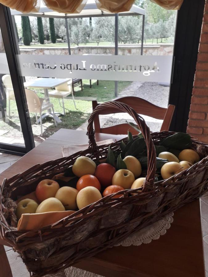 Lupo Cerrino Casa rural *