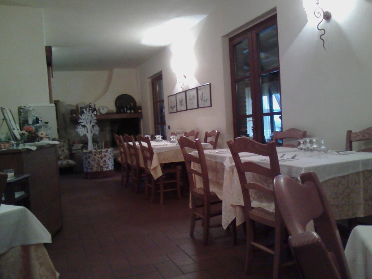 Lupo Cerrino Tarquinia