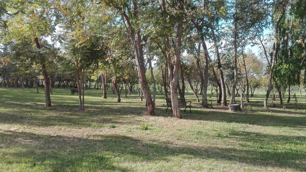 Casa de Campo Lupo Cerrino *