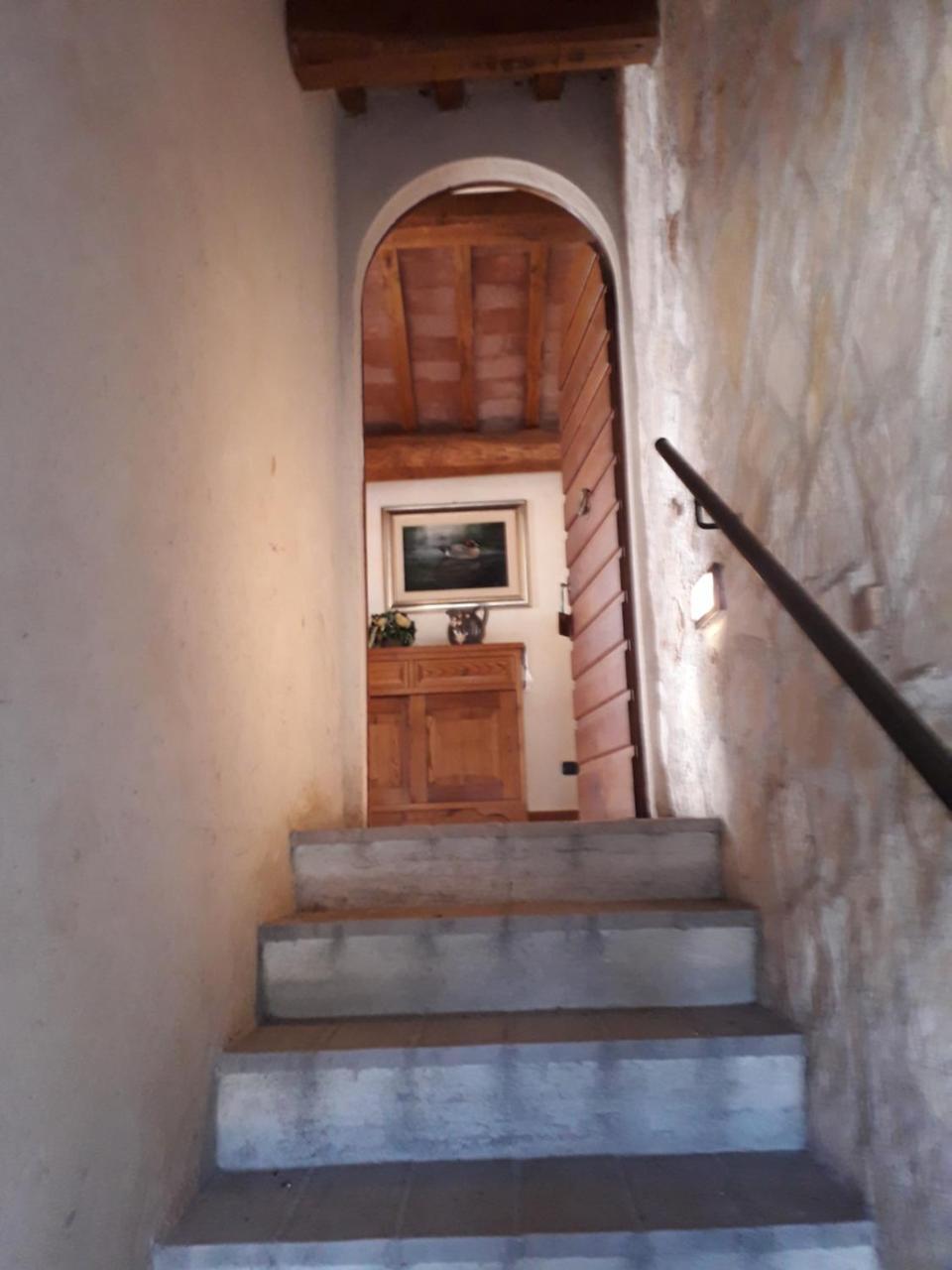Lupo Cerrino Tarquinia